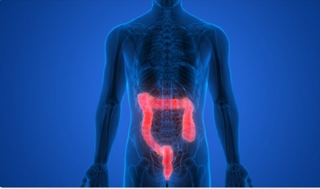 Descubierto un virus bacteriano en el intestino que potencia la inmunoterapia en pacientes con cáncer