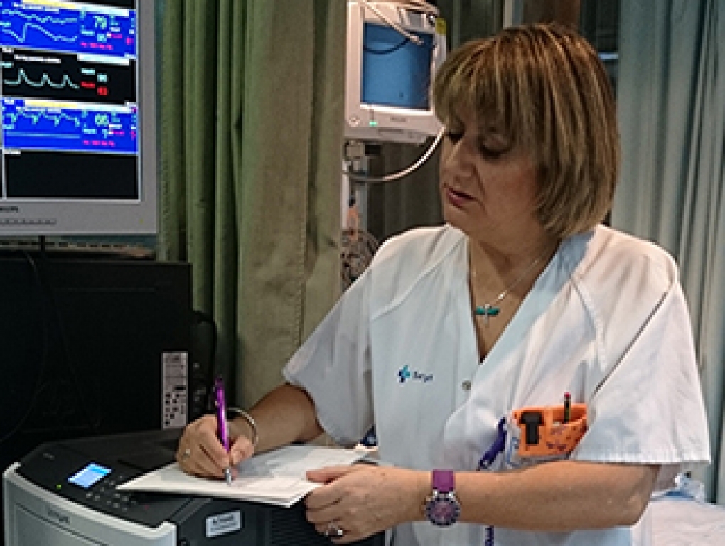 Depurar responsabilidades