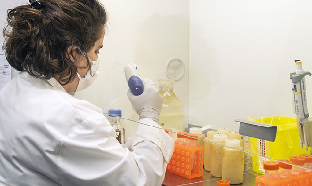 El CSIC optimiza una prueba rápida de PCR para detectar de forma selectiva los coronavirus potencialmente infecciosos