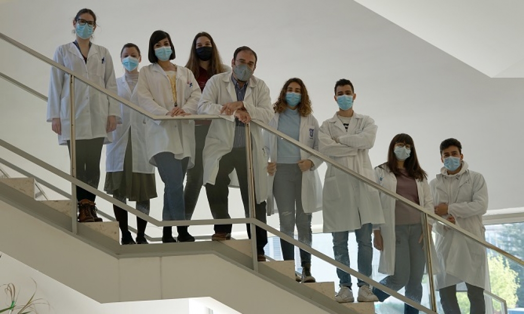 Identificados nuevos cambios en el metabolismo de los linfocitos B que ayudarán en la inmunoterapia oncológica