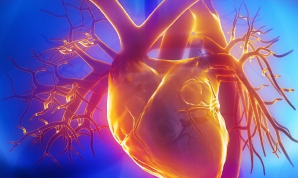 Un estudio del hospital de Salamanca y la Complutense descubre un gen relacionado con la ralentización del corazón