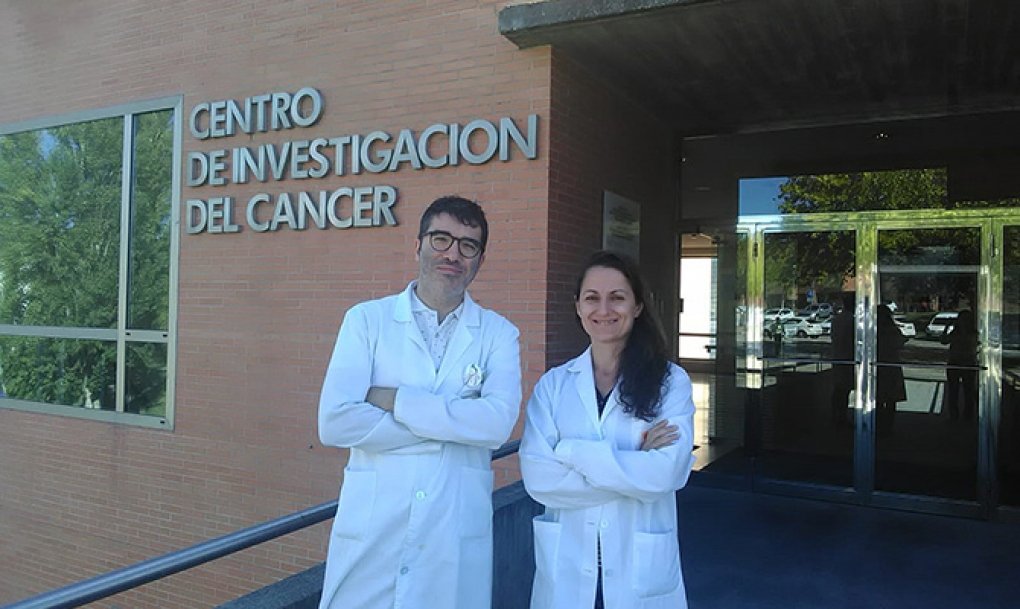 La AECC financia con medio millón de euros dos proyectos del Centro de Investigación del Cáncer