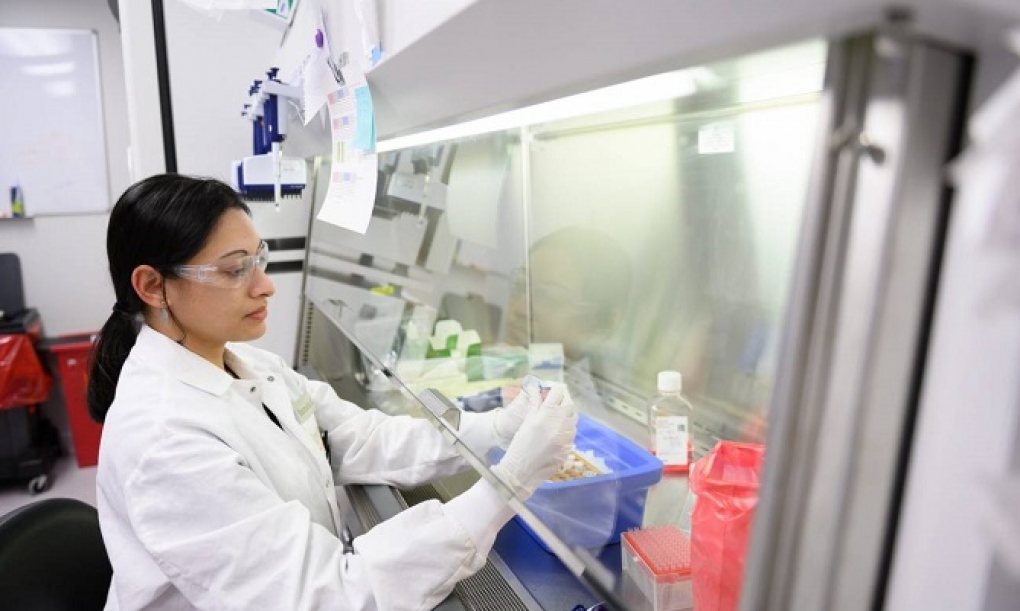 Primera inyección en sangre humana del editor genético CRISPR para tratar una enfermedad rara y mortal