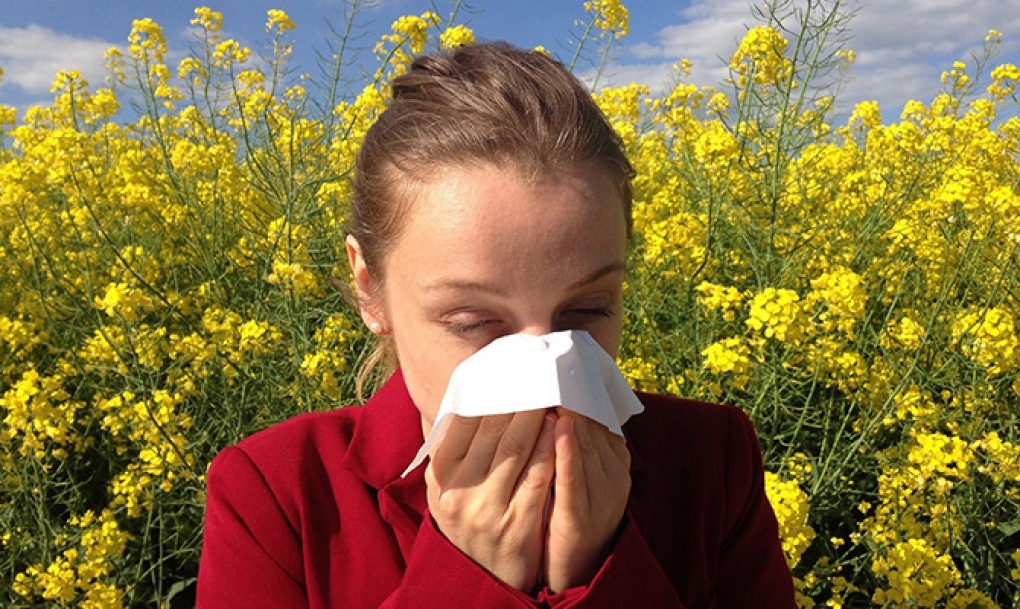 Primavera suave para los alérgicos al polen, excepto en el suroeste peninsular