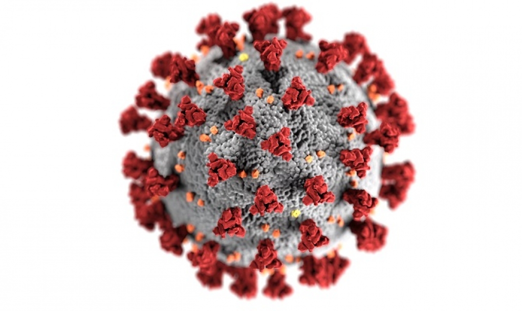 Un proyecto del CSIC busca desentrañar las proteínas más desconocidas del coronavirus