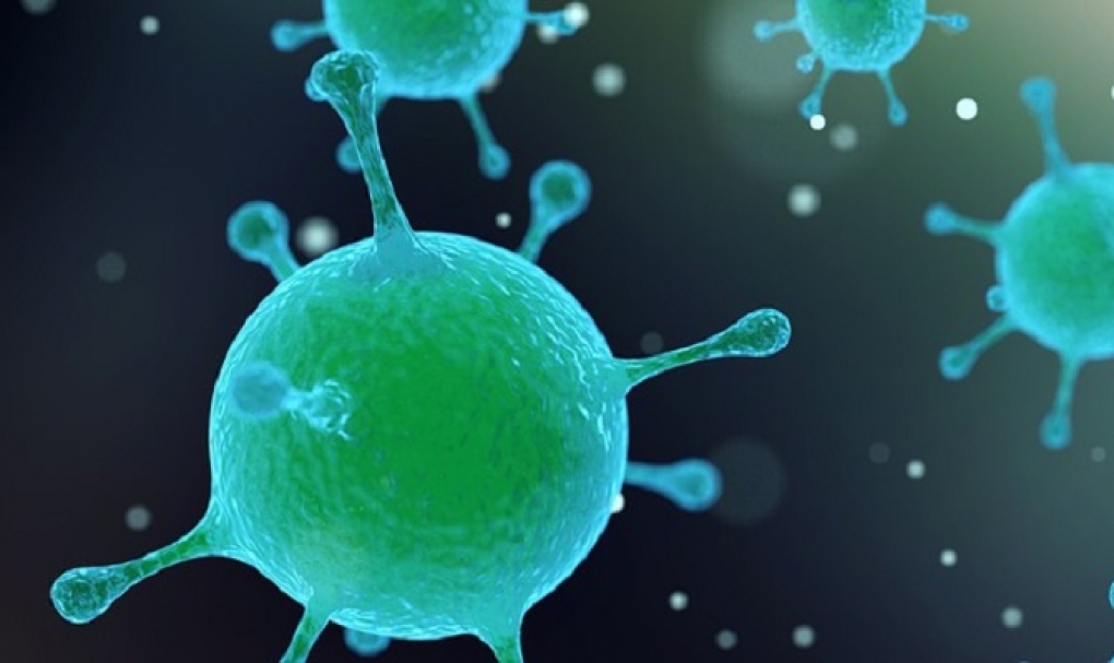 España elabora un protocolo de actuación ante la aparición de posibles casos del coronavirus de Wuhan