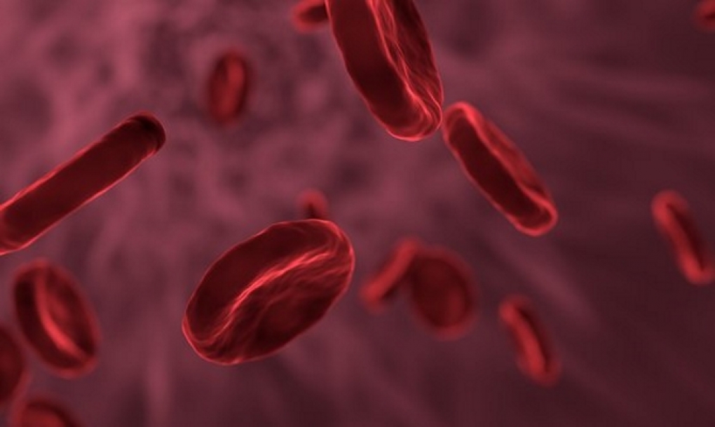 Las nuevas opciones terapéuticas revolucionan la calidad de vida de los pacientes con hemofilia