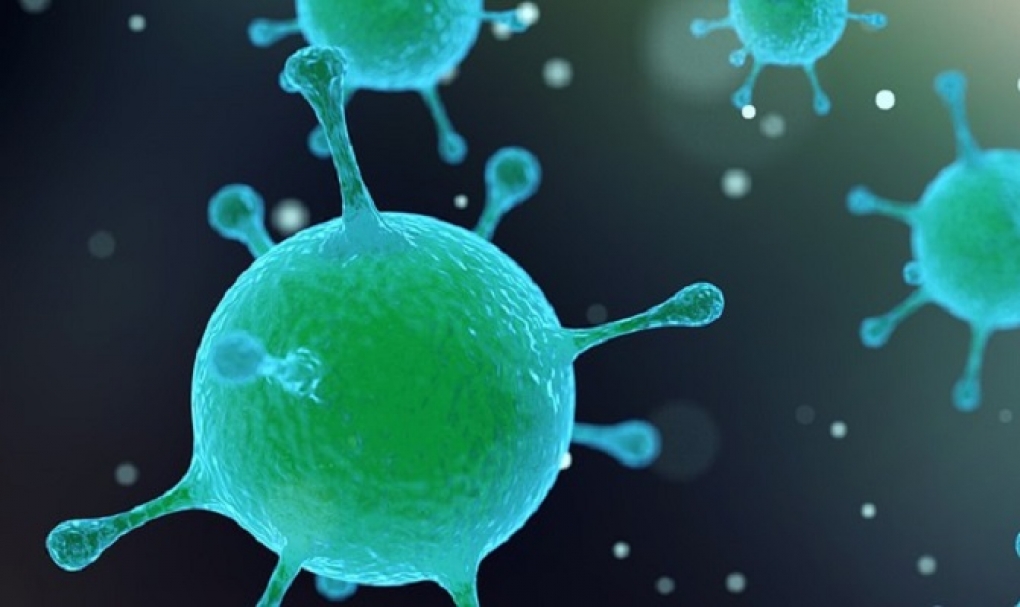 Los virus interactúan socialmente entre ellos para evadir al sistema inmunitario