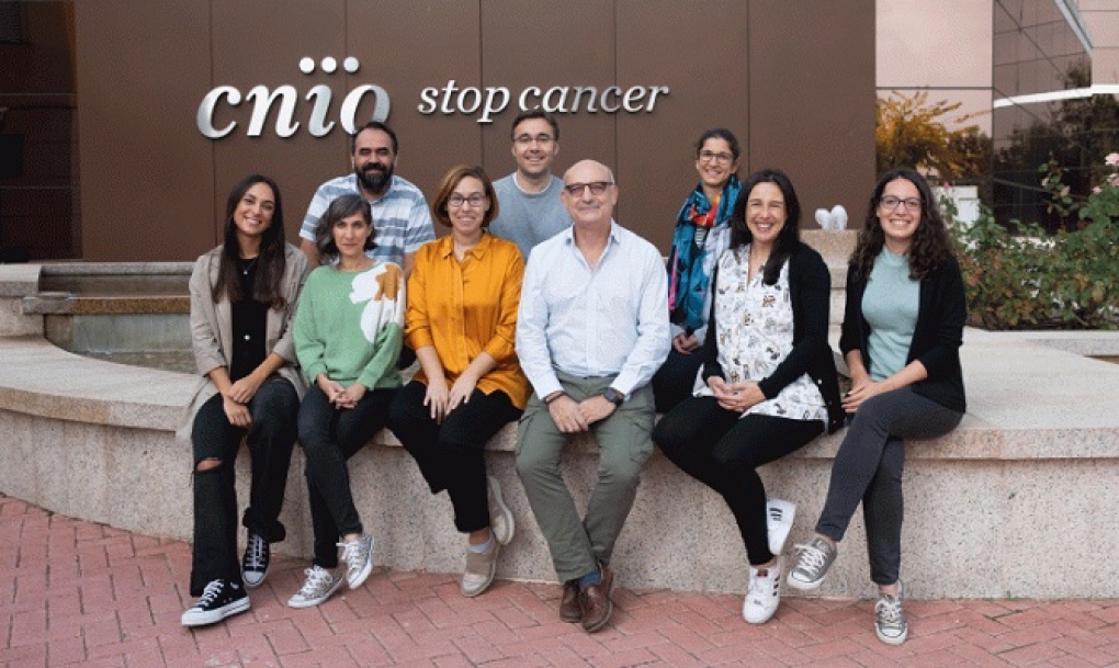 Demuestran en ratones la efectividad de un nuevo tipo de inmunoterapia contra el mieloma múltiple