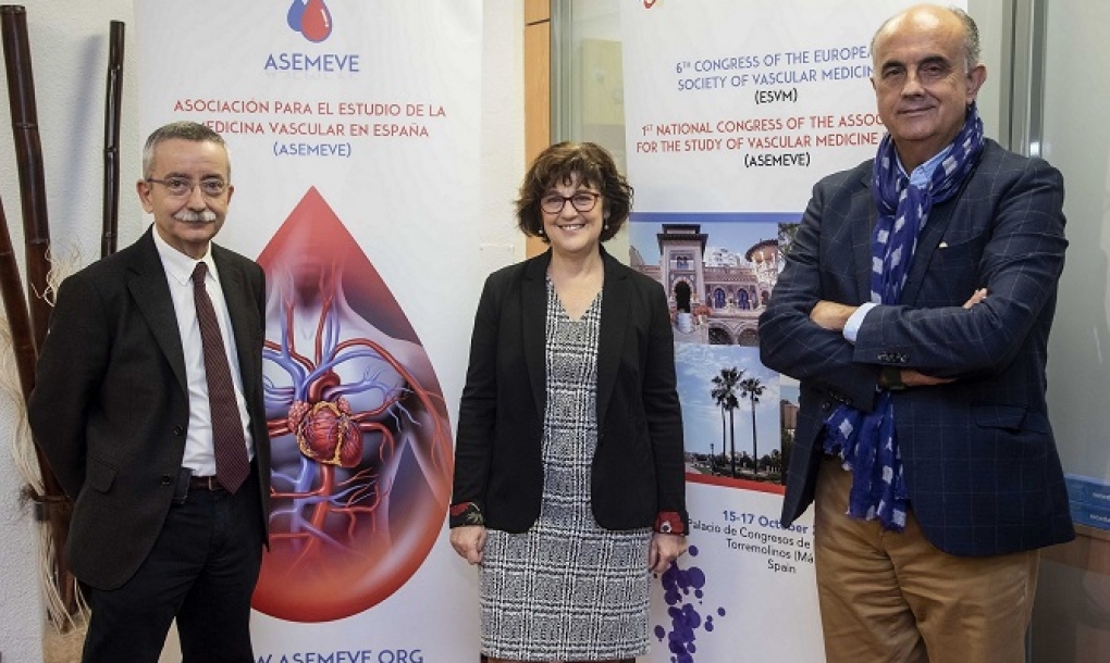 Nace la Asociación para el Estudio de la Medicina Vascular en España