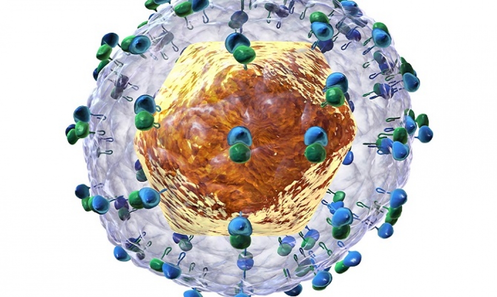 Novedosas moléculas inhibidoras del virus de la hepatitis C mediante evolución &#8216;in vitro&#8217;