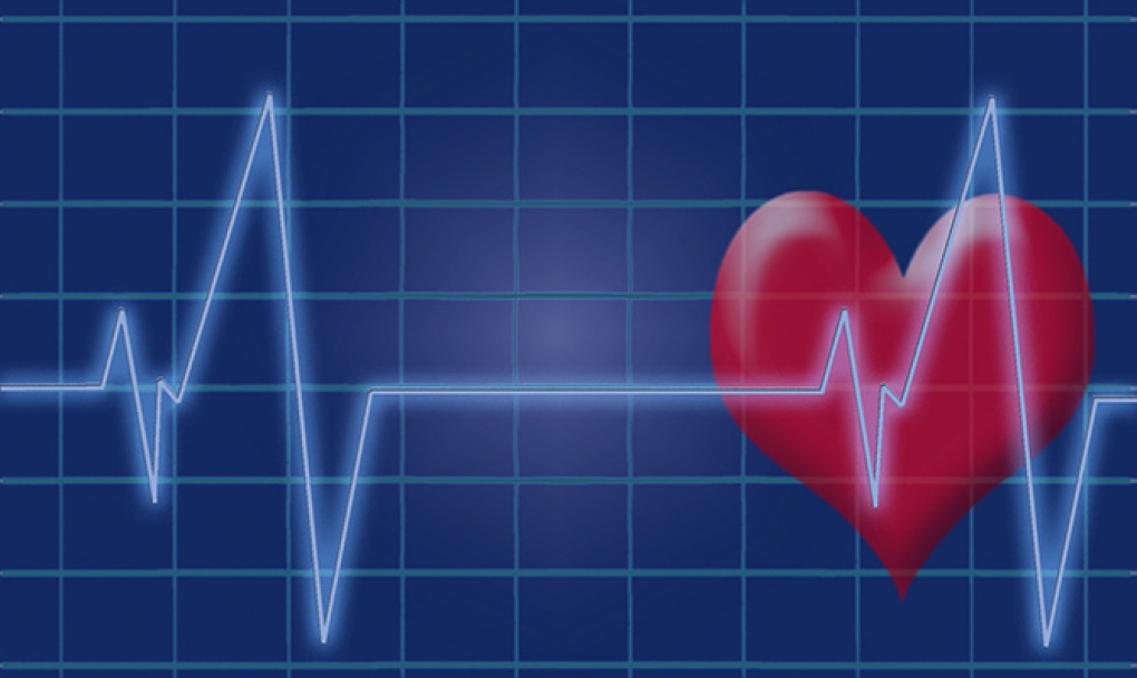 ¿Cómo puedo evitar una enfermedad cardiaca o un derrame cerebral?