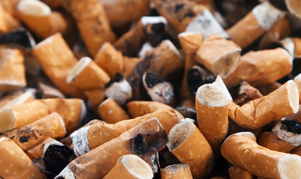Crecen las voces que alertan de los daños que causa el tabaco al medio ambiente