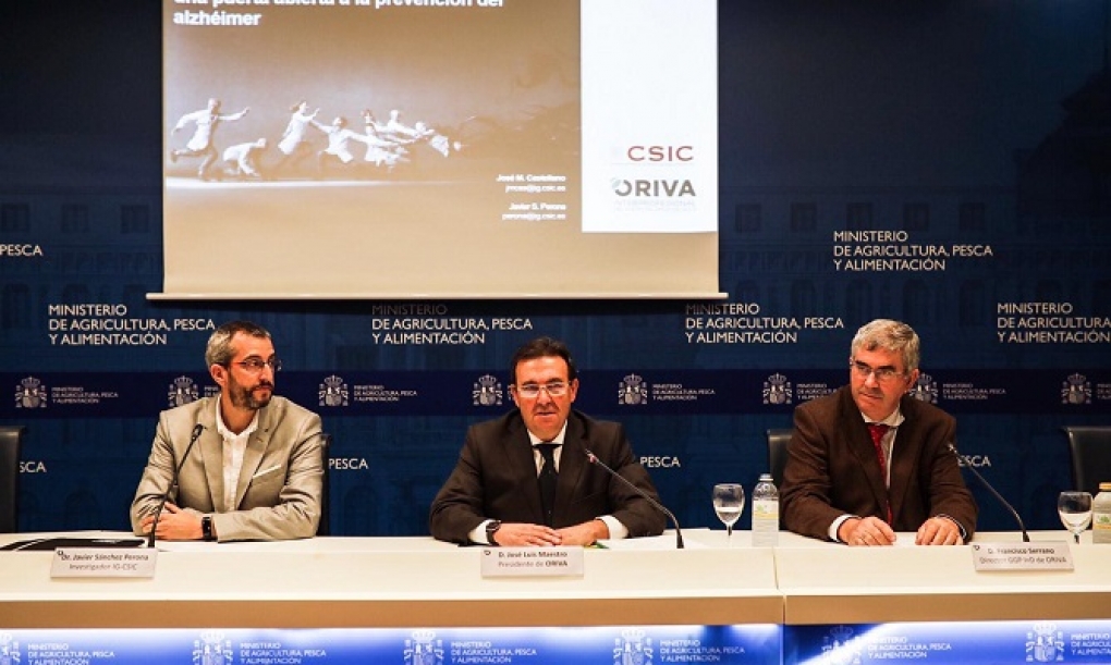 El CSIC abre una nueva vía para prevenir el alzhéimer con aceite de orujo de oliva