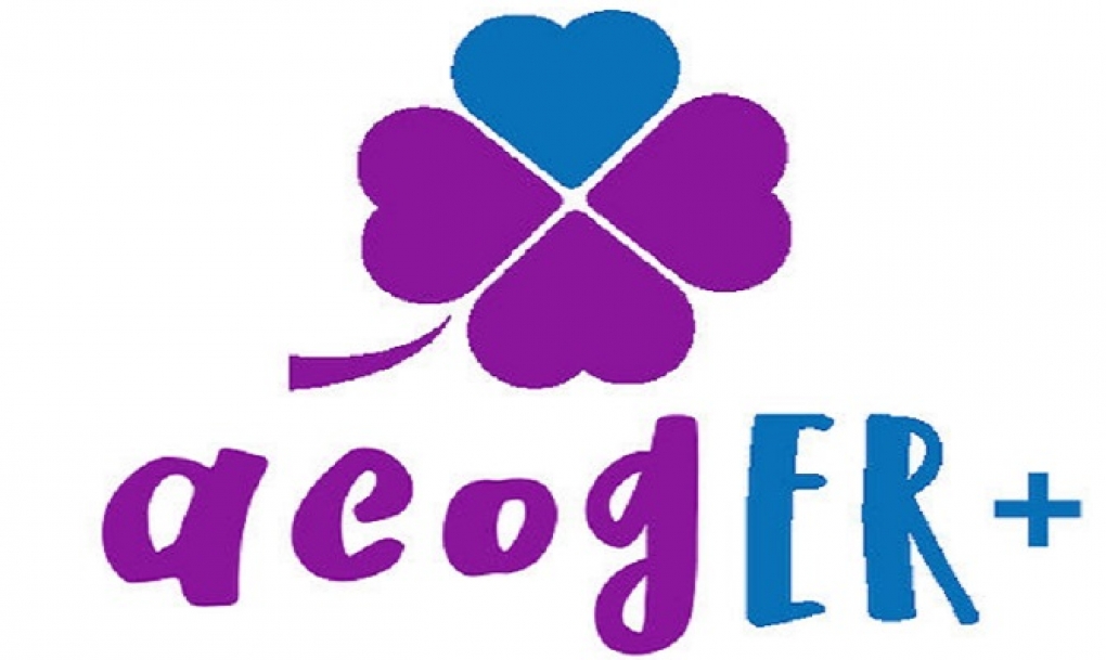 AcogER+enfermera da sus primeros frutos: nueve profesionales se interesan por la acogida de niños con enfermedades poco frecuentes