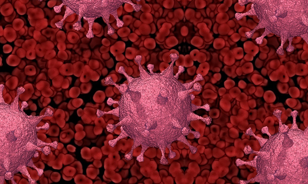 Las personas que superan la covid-19 sin producir anticuerpos pueden combatir el virus gracias a la inmunidad celular