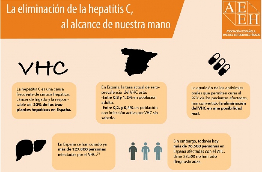 La hepatitis C se puede erradicar en España con un plan global e inclusivo