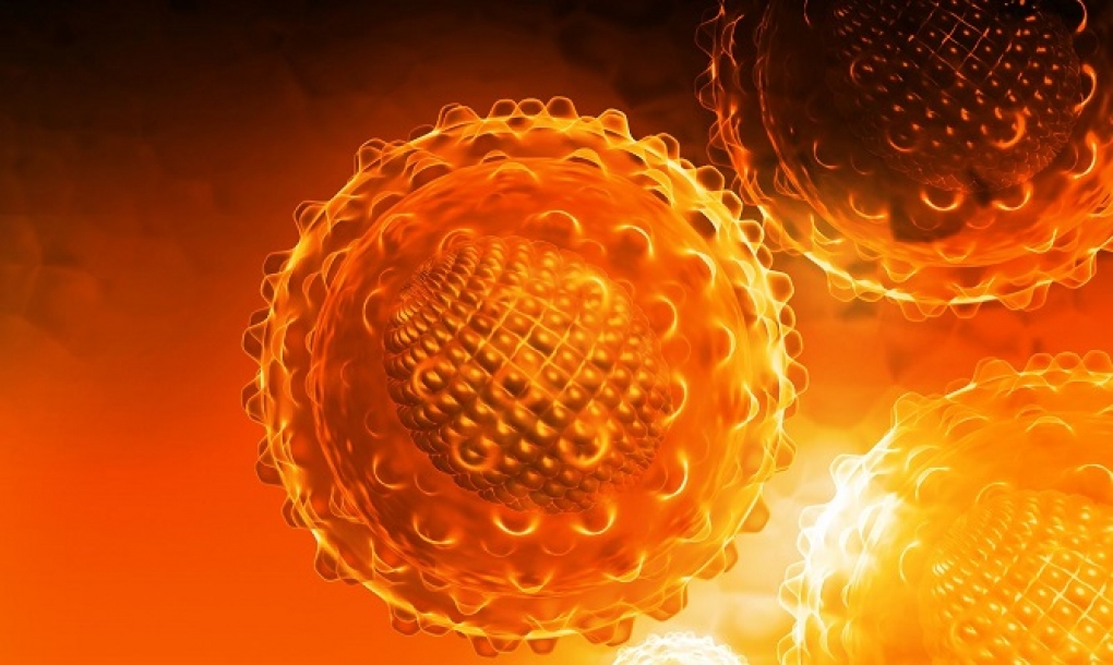 Una enzima del champiñón es eficaz para combatir la hepatitis C
