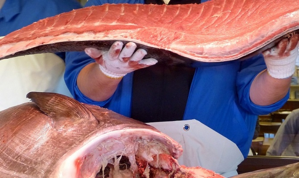 Sanidad continúa rastreando los lotes de atún fresco que han causado más de 60 intoxicaciones alimentarias