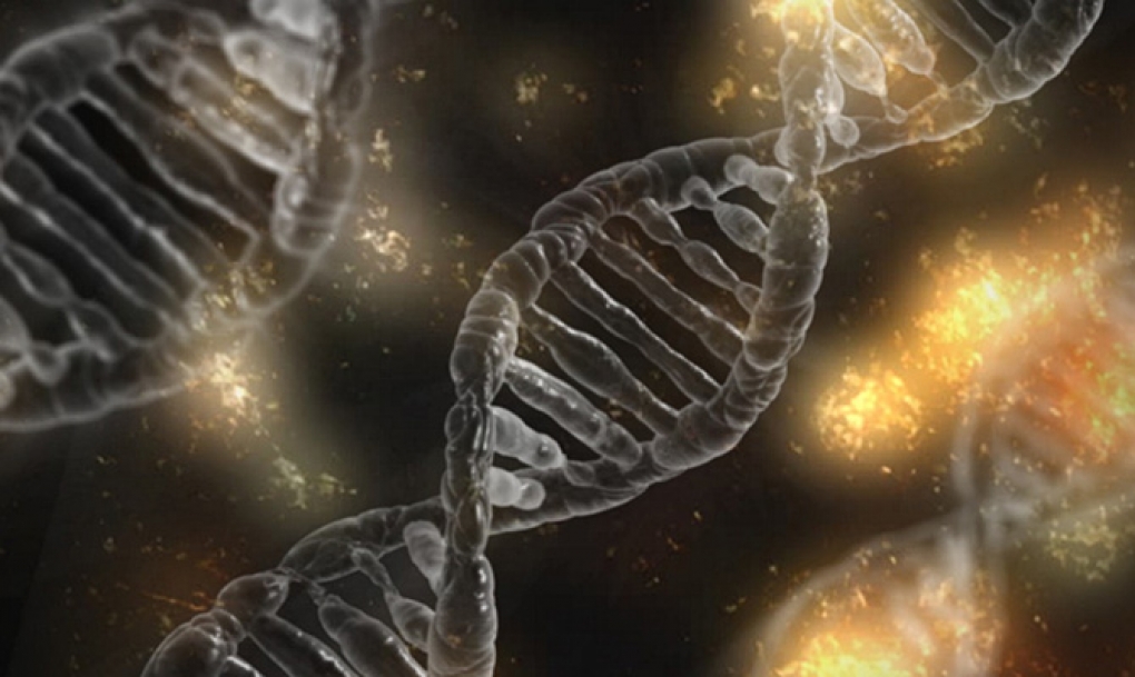 Las alteraciones en el ADN influyen en el riesgo de desarrollar cáncer