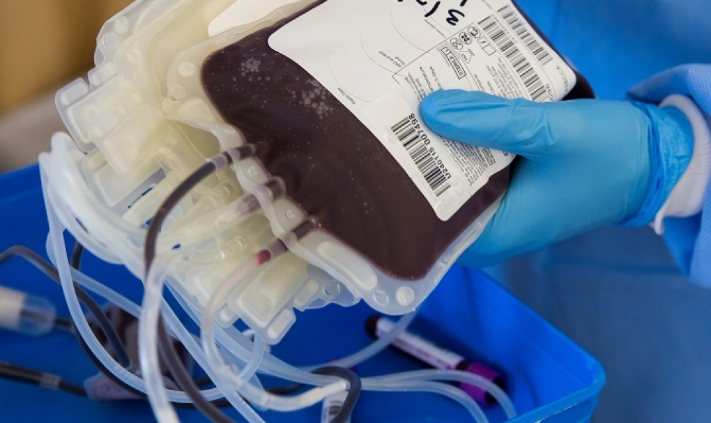 El uso del plasma para tratar la covid-19 es eficaz en pacientes con s&iacute;ntomas iniciales sin anticuerpos pero no en cuadros graves
