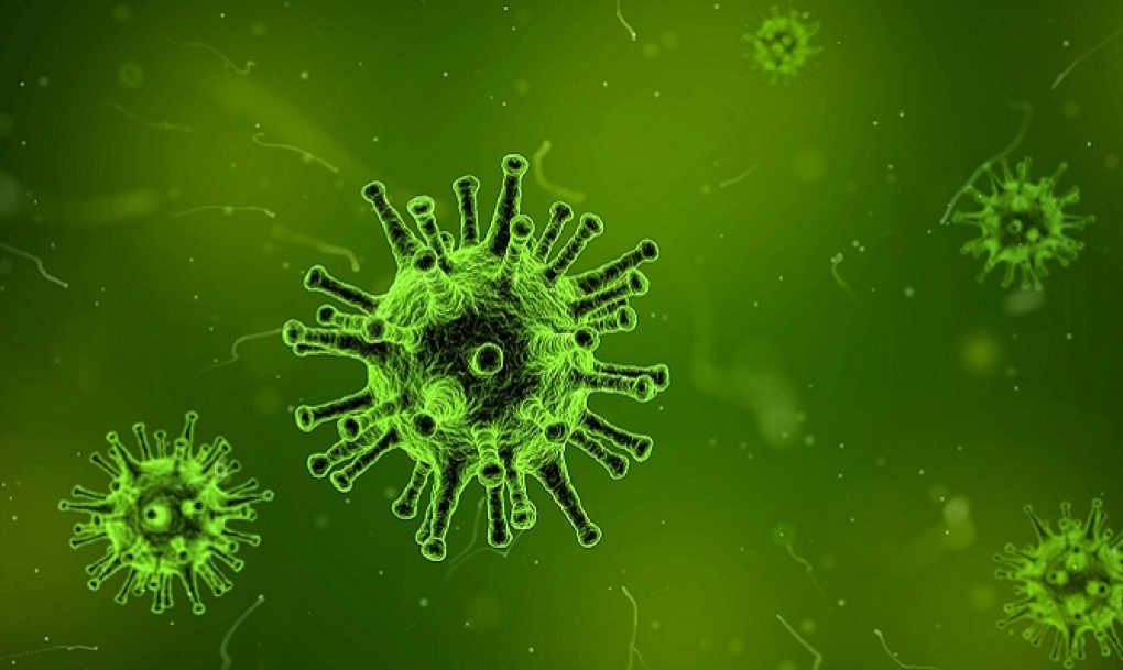 Expertos en Microbiología Clínica alertan de los riesgos de las multirresistencias en las infecciones de transmisión sexual