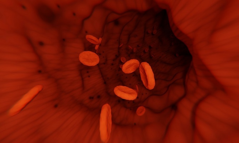Avances para identificar cómo las plaquetas de la sangre favorecen la metástasis